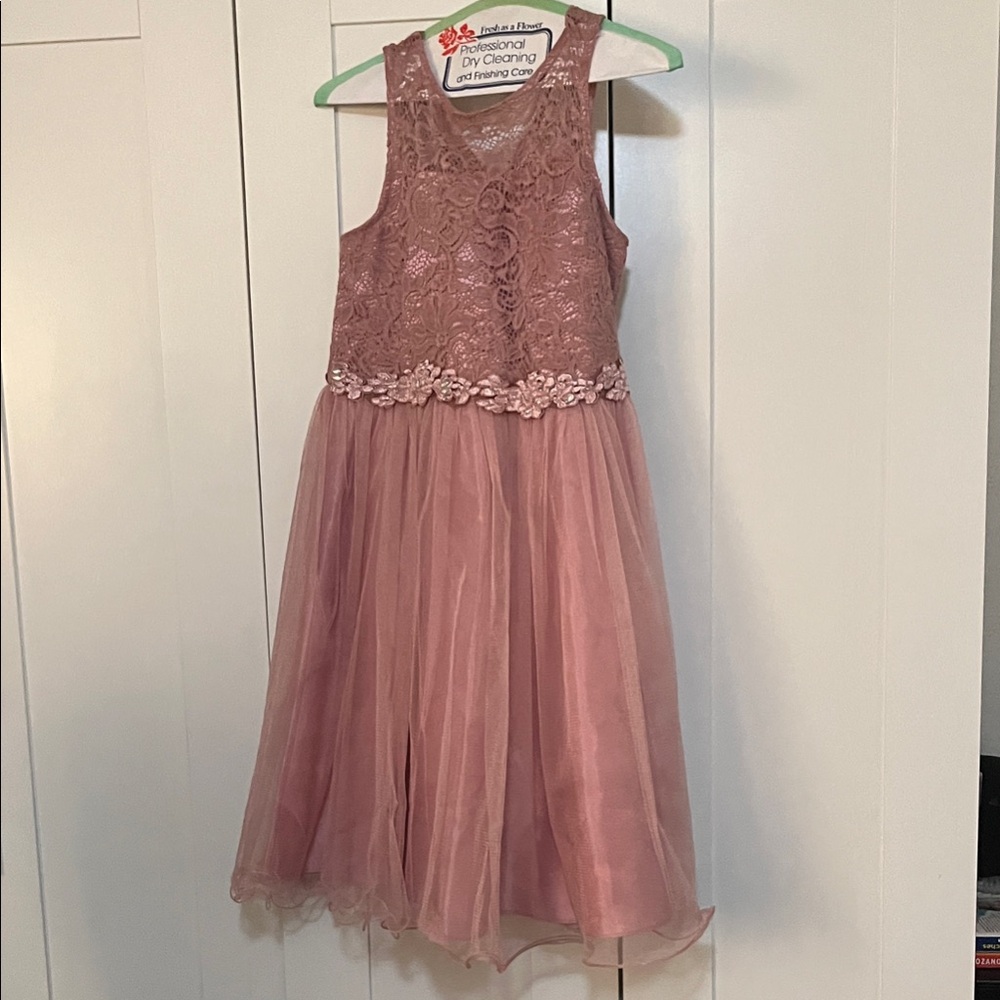 Elegant Lace and Tulle Kids Dress